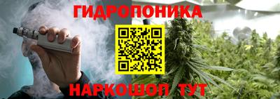 apvp Кунгур