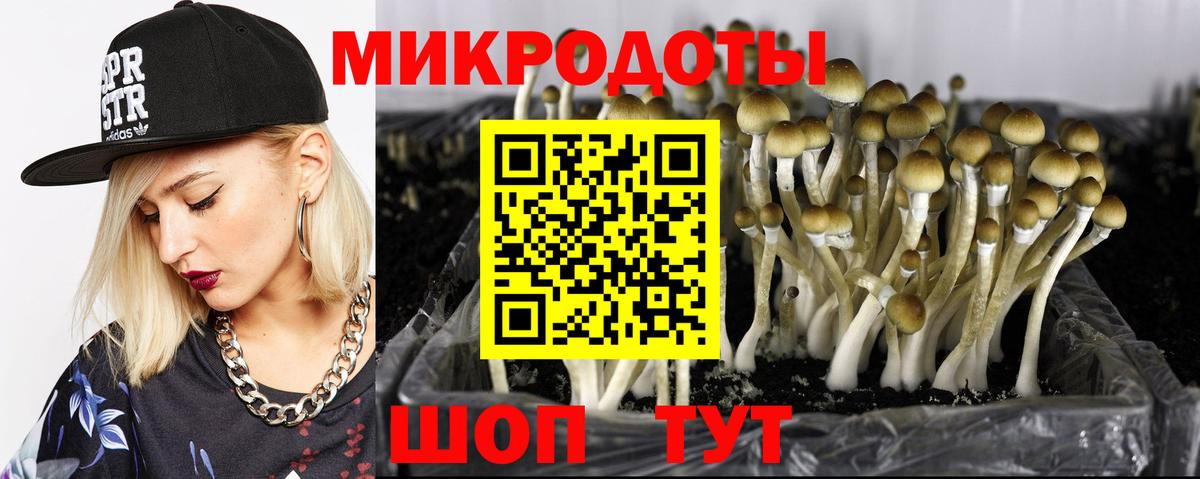 Псилоцибиновые грибы Psilocybine cubensis Клин